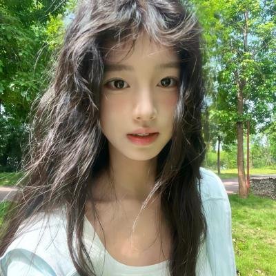 森林之北